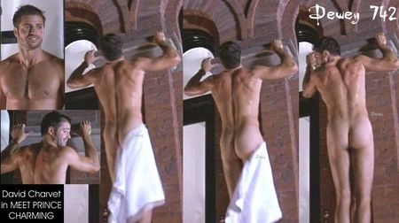 david-charvet-nude.jpg