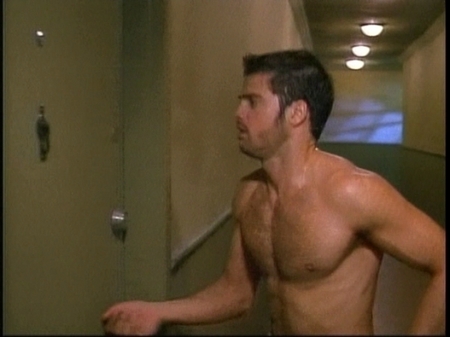 david-charvet-shirtless02.jpg
