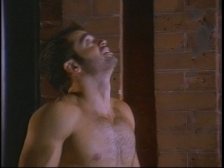 david-charvet-shirtless03.jpg