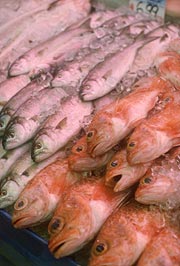 dead-fish.jpg