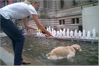 dog-fountain.jpg