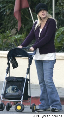 dog-stroller.jpg