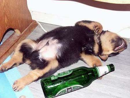 f_PI71439Drunm_6ce98fe.jpg