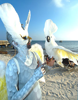 fantasy-birdman.jpg