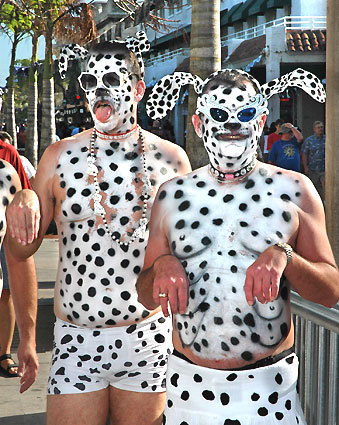 fantasy-dalmatian.jpg