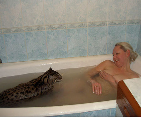 fishing-cat-03.jpg