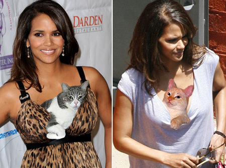 halle-berry-cat-boobs.jpg