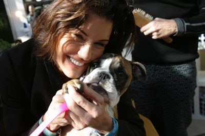 janice-bulldog-01.jpg