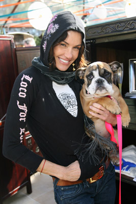 janice-bulldog-02.jpg