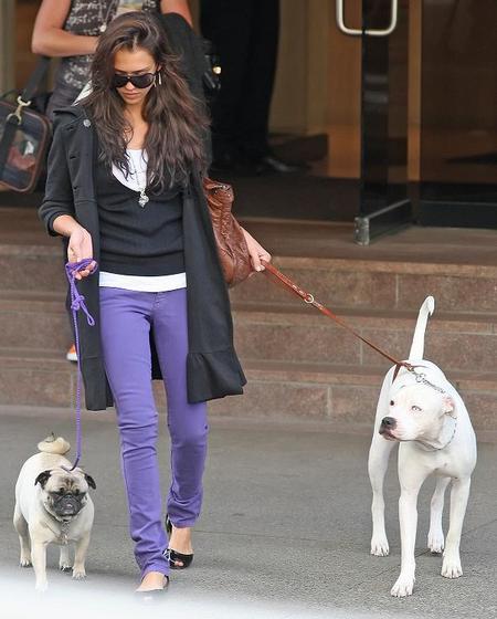 jessica-alba-dogs.jpg