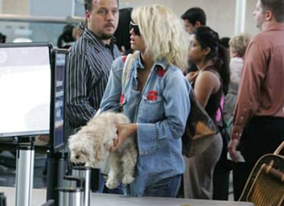 jessica-simpson-dog-xray.jpg