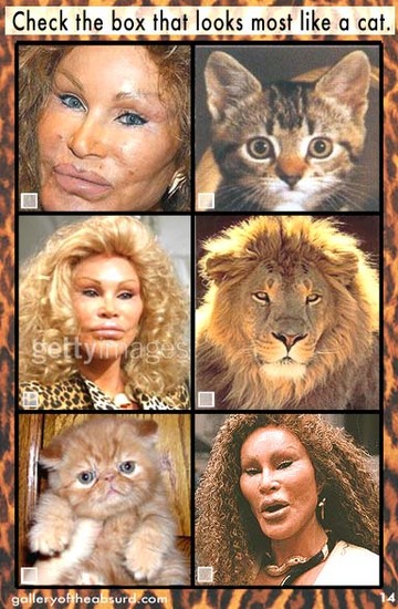 Jocelyn Wildenstein cat quiz