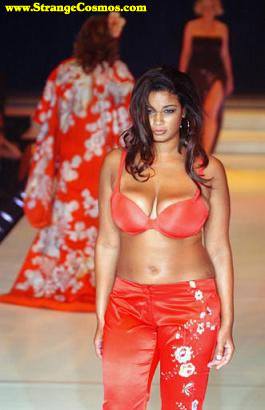 Lane Bryant Fashion Show Runway New York