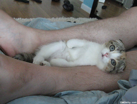 legbed2.jpg