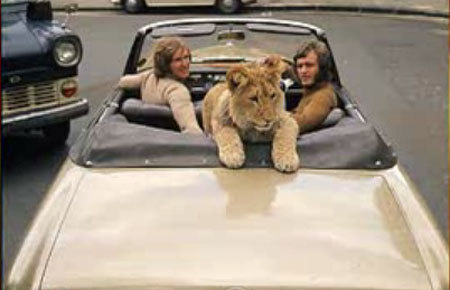 lion.jpg