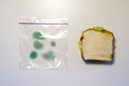 moldy_bag_1.jpg