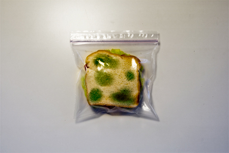 moldy_bag_2.jpg