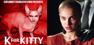 Natalie Portman bald cat