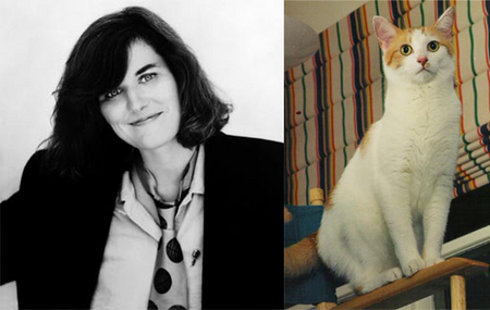paulacat.jpg
