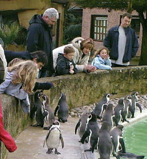 pete-doherty-penguin-02.jpg