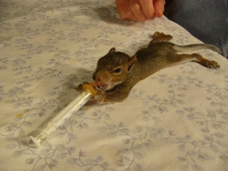 pic_1198264929299.gif