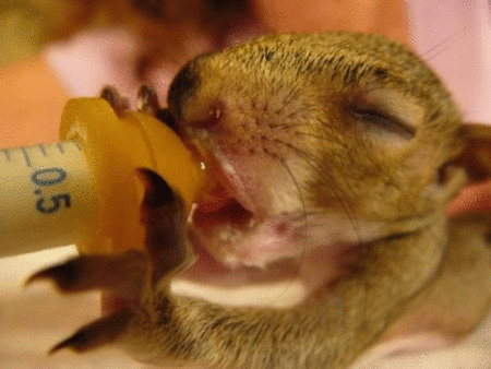 pic_1198264950822.gif