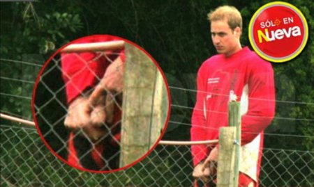 prince-william-penis-01.jpg