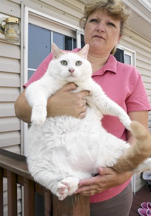 princess-chunk.jpg