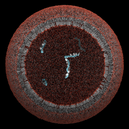 protocell.jpg