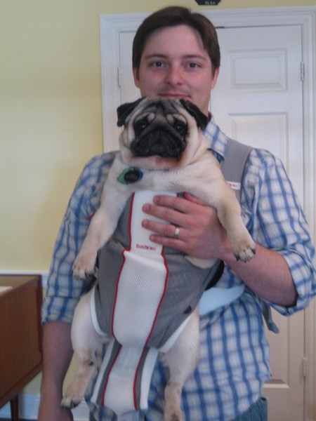 pug-snuggly.JPG