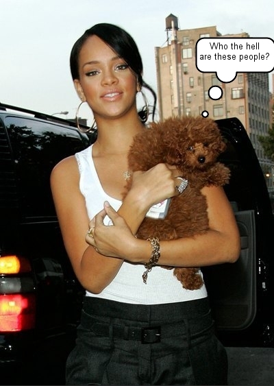 rihanna-poodle.jpg