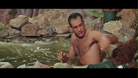 robinson-8.jpg