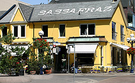 sassafraz.jpg