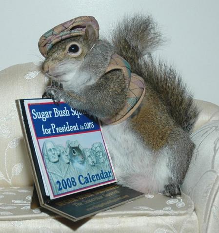 sugarbush-president.jpg