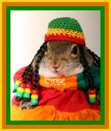 sugarbush-rasta.jpg