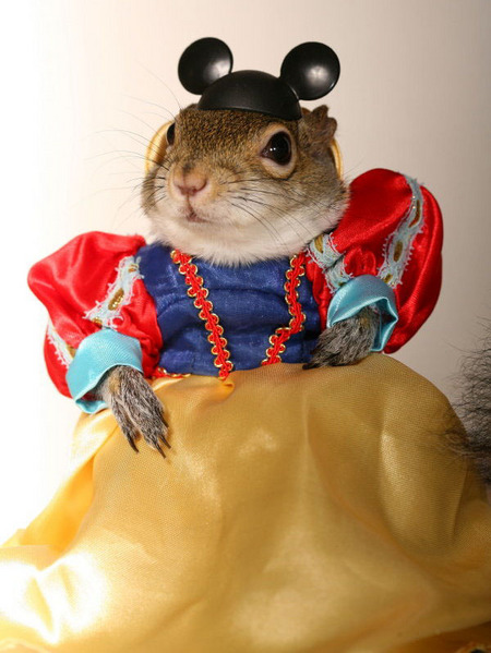 sugarbush-snowwhite.jpg