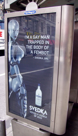 svedka-fembot-gay.JPG