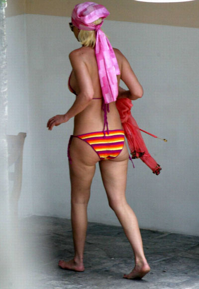 tara-reid-bikini03.jpg
