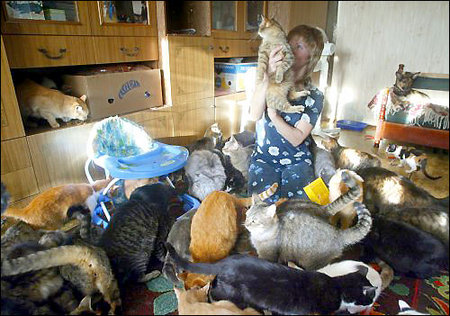 ukraine-cat-lady.jpg
