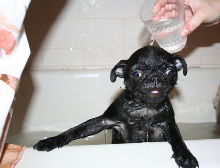 waterface2.jpg