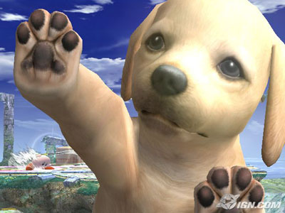 Nintendo Wii Nintendog