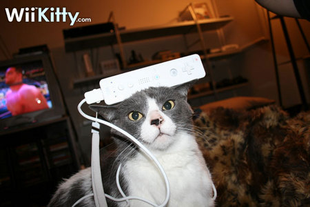 wiikitty08.jpg