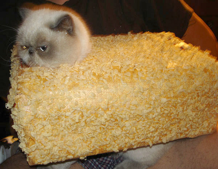 win_ricekrispietreat.jpg