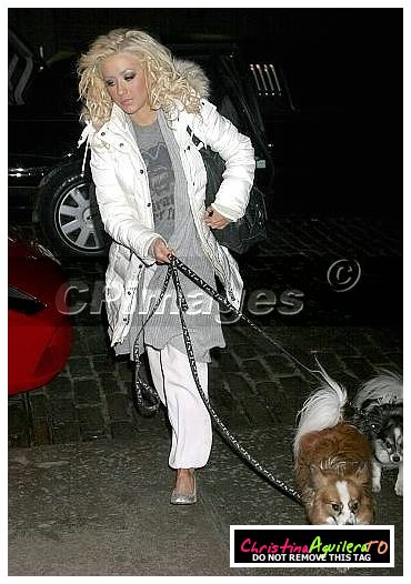 xtina-dogs-makeup02.jpg