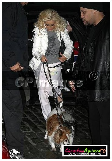xtina-dogs-makeup03.jpg