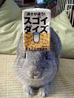 yuebing-soymilk.jpg
