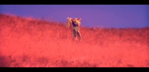 rihanna-only-girl-field.png