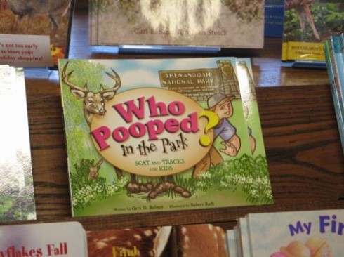poo.jpg