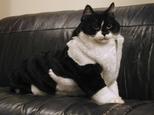 roonie-fur-suit.jpg