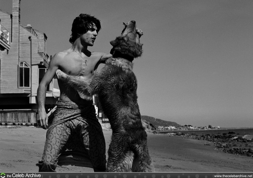 alejo-wolf.jpg